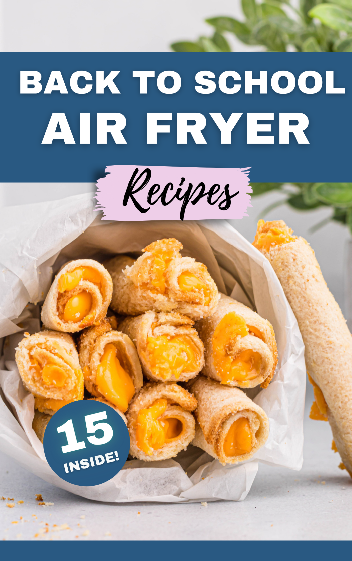 15 Easy Back to School Air Fryer Recipes