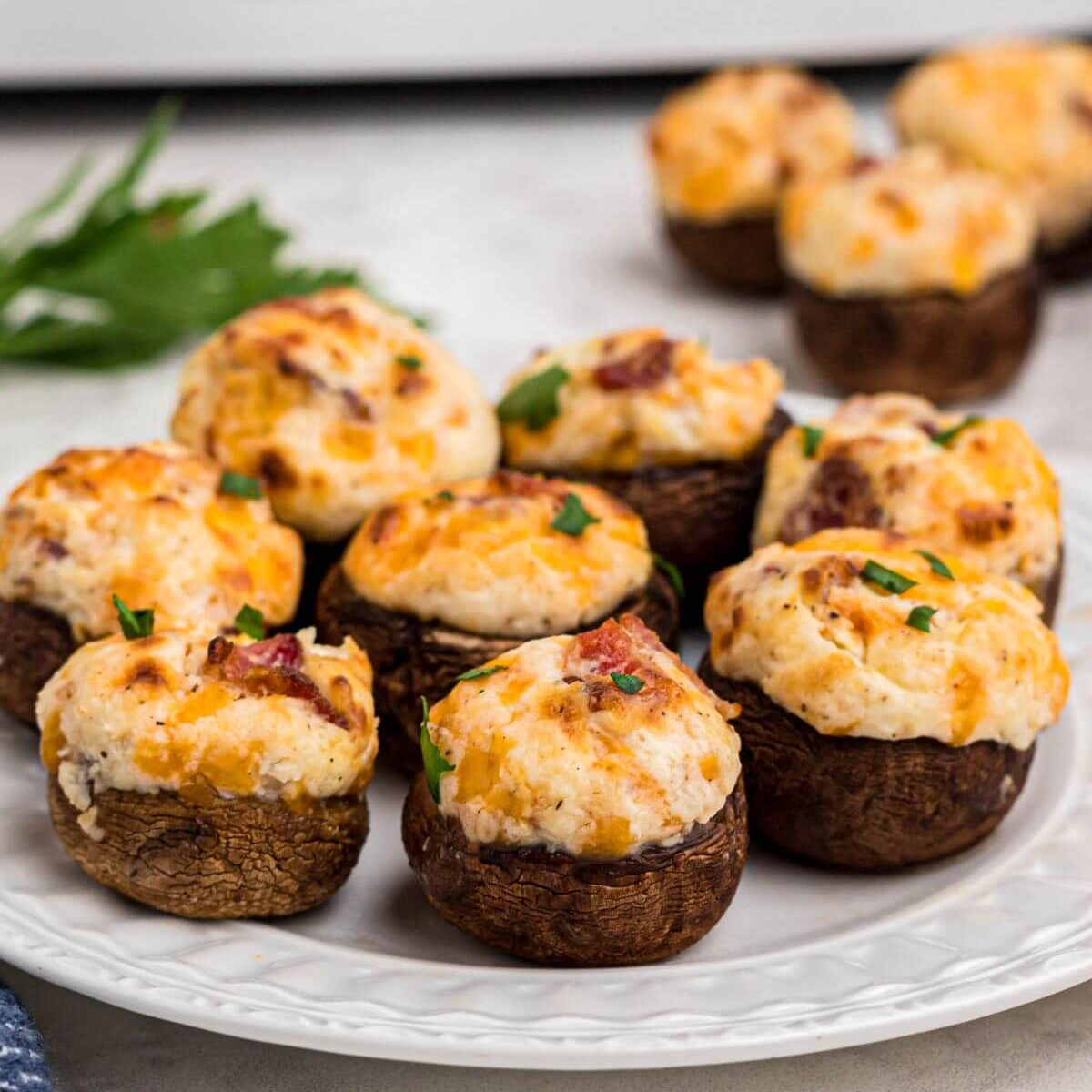 47 Quick & Easy Air Fryer Recipes